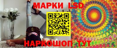 гашик Тара