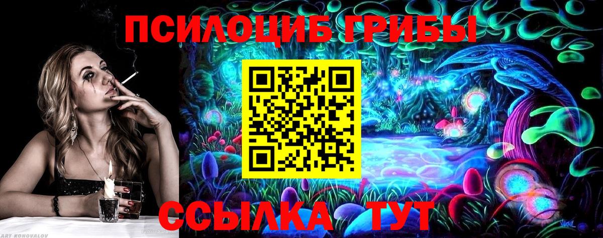 как найти закладки  Галлюциногенные грибы MAGIC MUSHROOMS  Вход с VPN  Можайск 