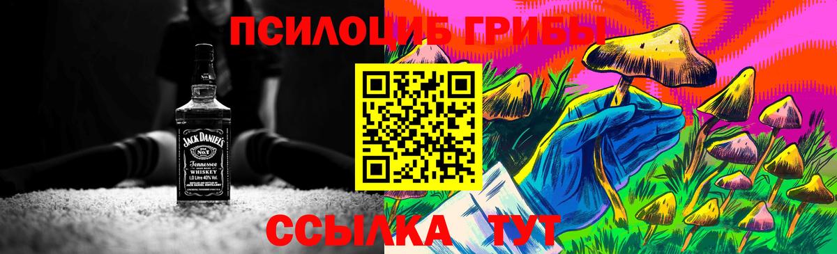 Псилоцибиновые грибы мицелий Можайск